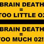 BRAIN DEATH IS KIDNAP MEDICAL TERRORISM MURDER BEGINS WITH YOUR OWN PERSONAL CARE PHYSICIAN