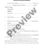 Michigan Divorce Settlement Agreement