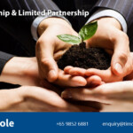 Partnership Limited Partnership Timcole Accounting