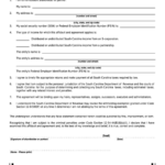 Form I 309 Nonresident Shareholder Or Partner Affidavit And Agreement