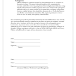 401K Statement Template Fill Out And Sign Printable PDF Template