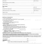 Fillable California Form 593 Real Estate Withholding Tax Statement