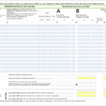 French Withholding Tax Form 5003 WithholdingForm