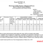 GST Payments Of Taxes Part I