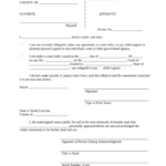 Sc Child Support Fill Out Sign Online DocHub